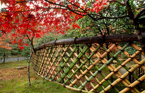 编竹栅栏、竹围墙、竹编篱笆（竹篱笆）设计制作施工