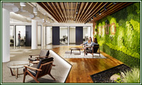 写字楼办公室绿化植物租赁的价值