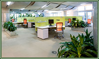 打造鲜活的办公室绿化环境